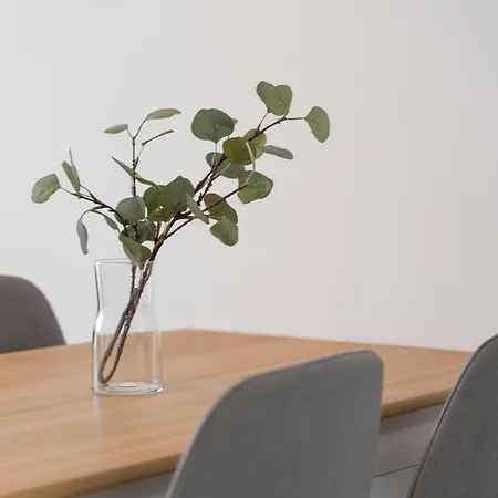 Emilii Plater Iv - Unique * Στσέτσιν